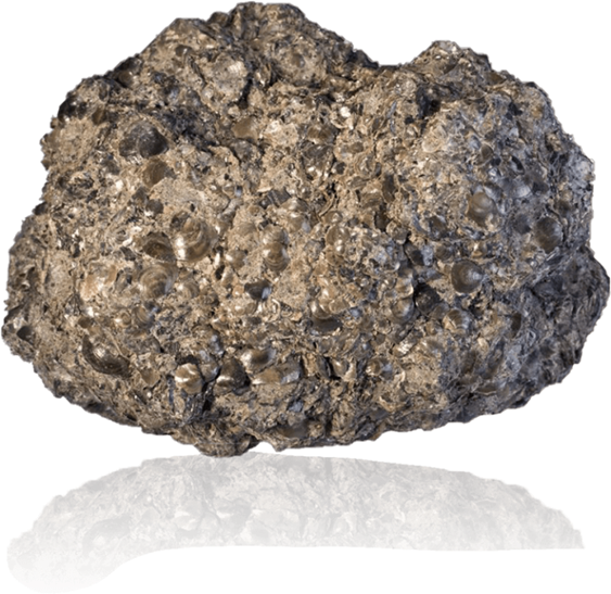 مصفاة الموينا في الاردن 